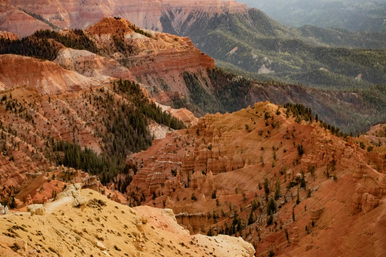 a group of people standing on top of a mountain, by Doug Wildey, unsplash contest winner, renaissance, earth colors, utah, zoomed in, trees and cliffs