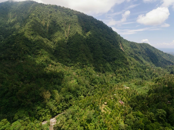 an aerial view of a lush green mountain range, sumatraism, trees and cliffs, brown, bali, exterior shot