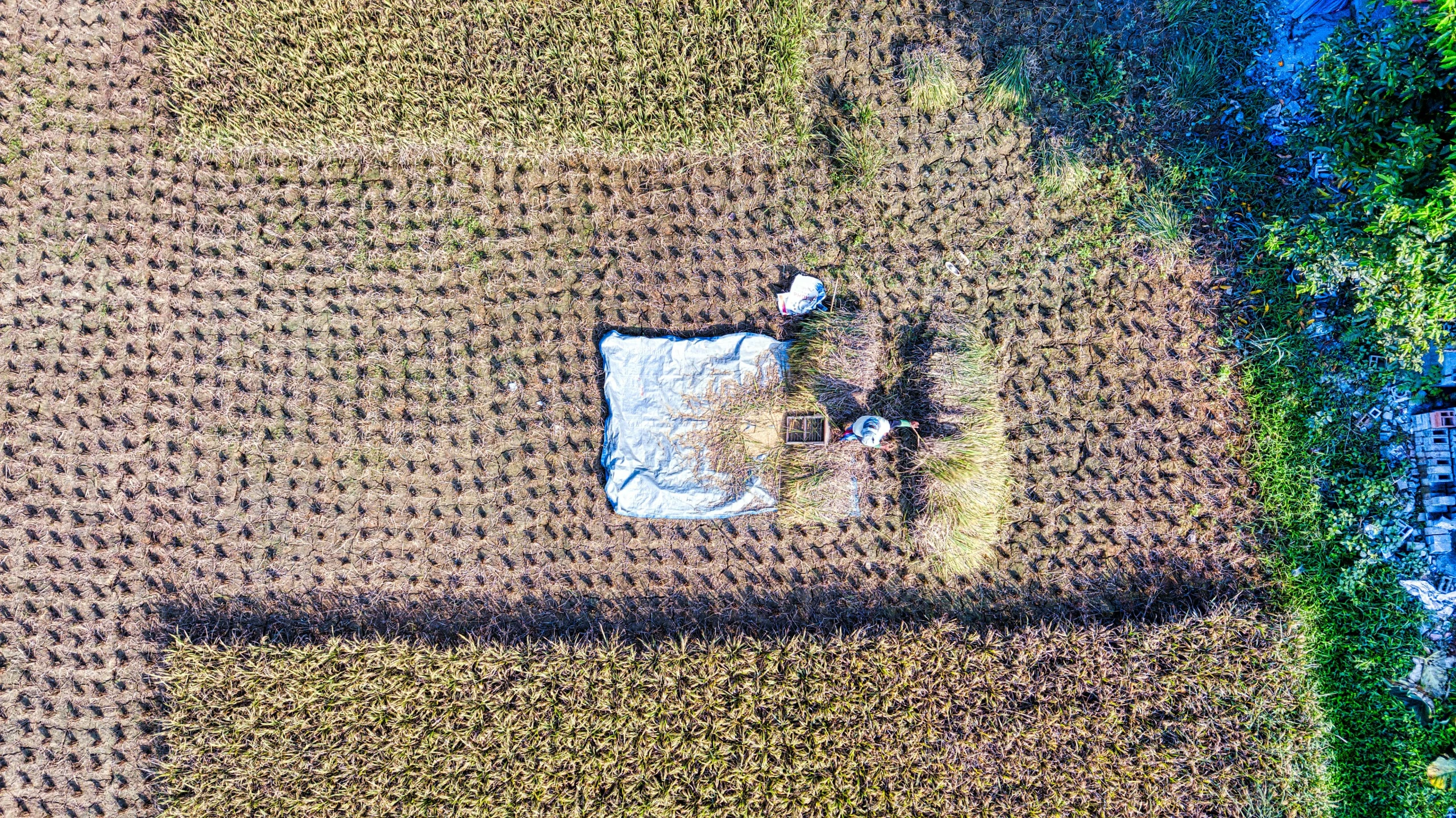 an aerial view of a field of crops, an album cover, by Daniel Lieske, unsplash contest winner, land art, scarecrow, ignant, clothes floating, rectangle