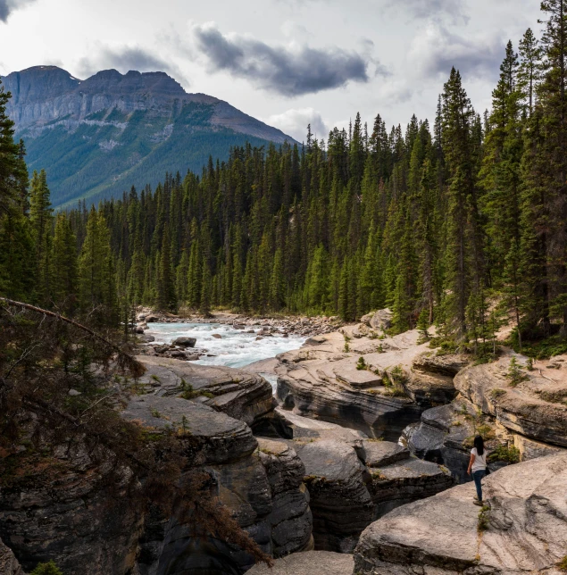 a man standing on a rock next to a river, by Doug Wildey, pexels contest winner, banff national park, erosion algorithm landscape, rapids, lush forest in valley below