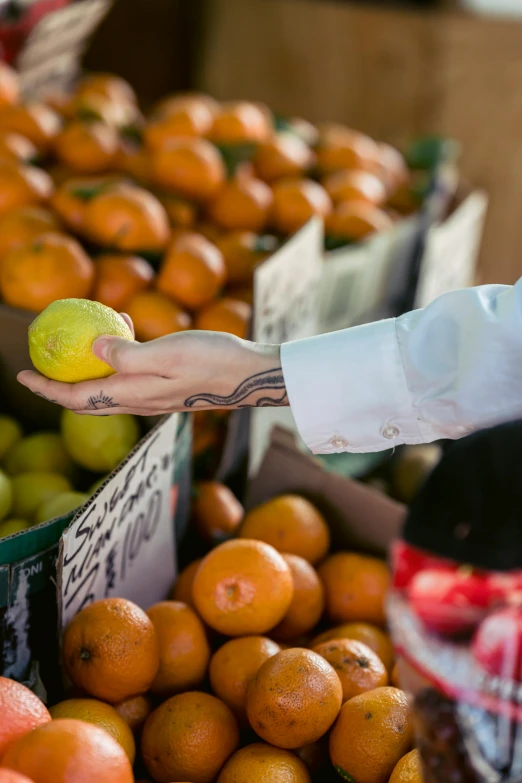 a close up of a person holding a tennis ball, by Niko Henrichon, colored fruit stand, tattooed, market setting, orange