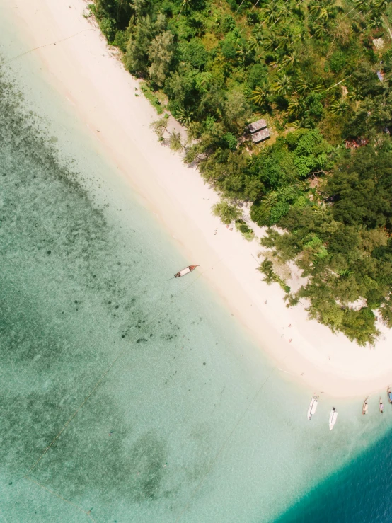 an aerial view of a beach in the middle of the ocean, sumatraism, standing on a beach in boracay, lisa brawn, lush surroundings, thumbnail