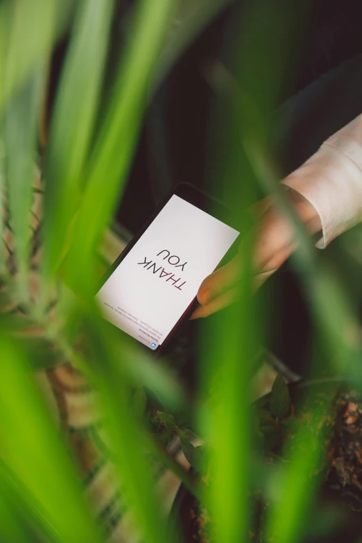 a book sitting on top of a lush green plant, product label, take my hand, ignant, opening shot