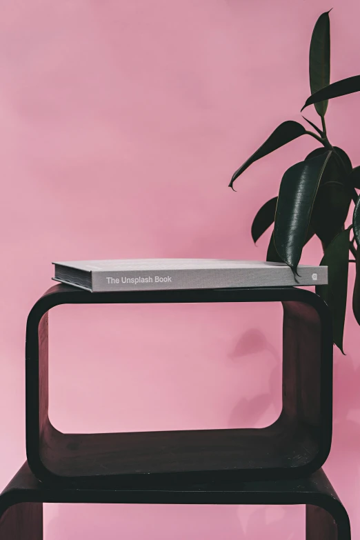 a book sitting on top of a table next to a plant, an album cover, inspired by Donald Judd, unsplash contest winner, pink and black, curved furniture, aluminum, product view