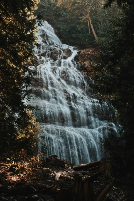 a waterfall in the middle of a forest, an album cover, inspired by Elsa Bleda, unsplash contest winner, hurufiyya, nepal, medium format. soft light, shiny and sparkling, 2019 trending photo