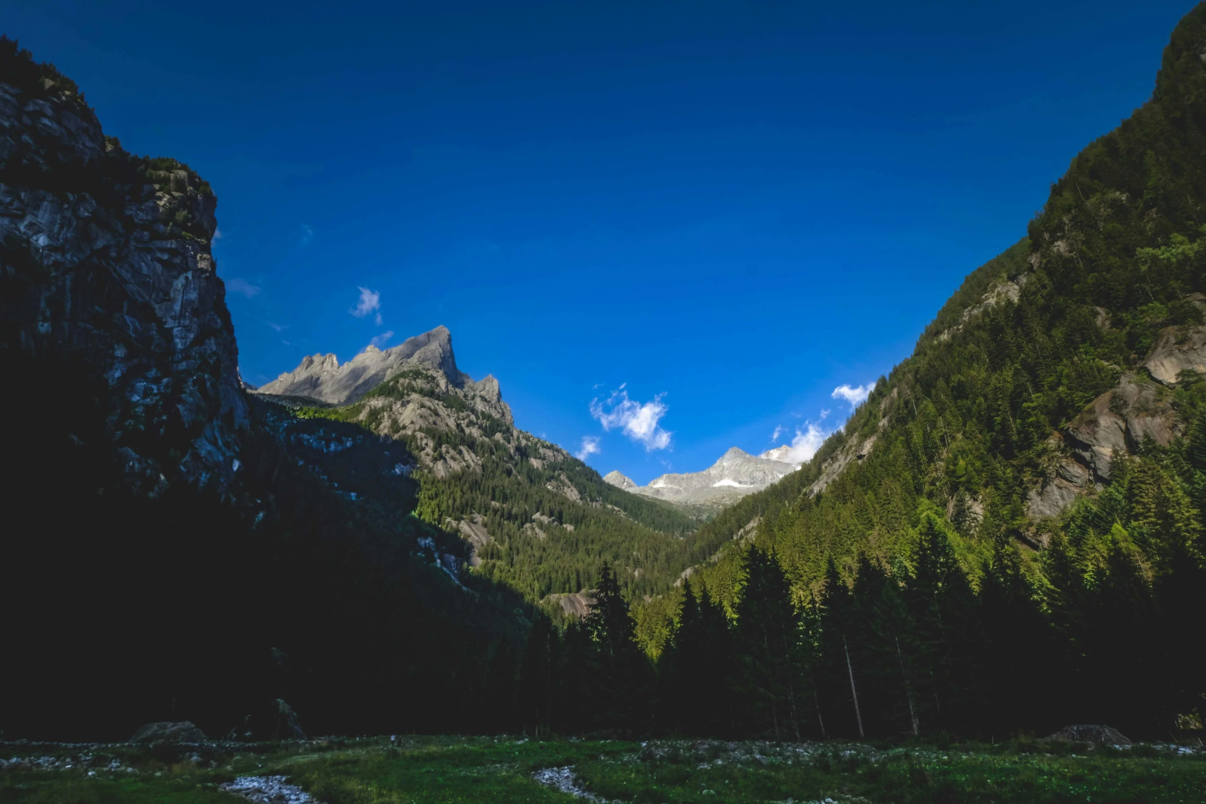 a view of a valley with mountains in the background, pexels contest winner, les nabis, clear blue sky, evergreen forest, album, high quality product image”