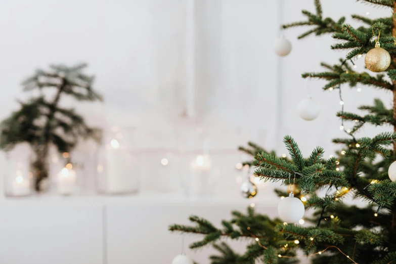 a christmas tree decorated with white and gold ornaments, inspired by Ernest William Christmas, trending on unsplash, light and space, natural candle lighting, background image, opening shot, in a white boho style studio