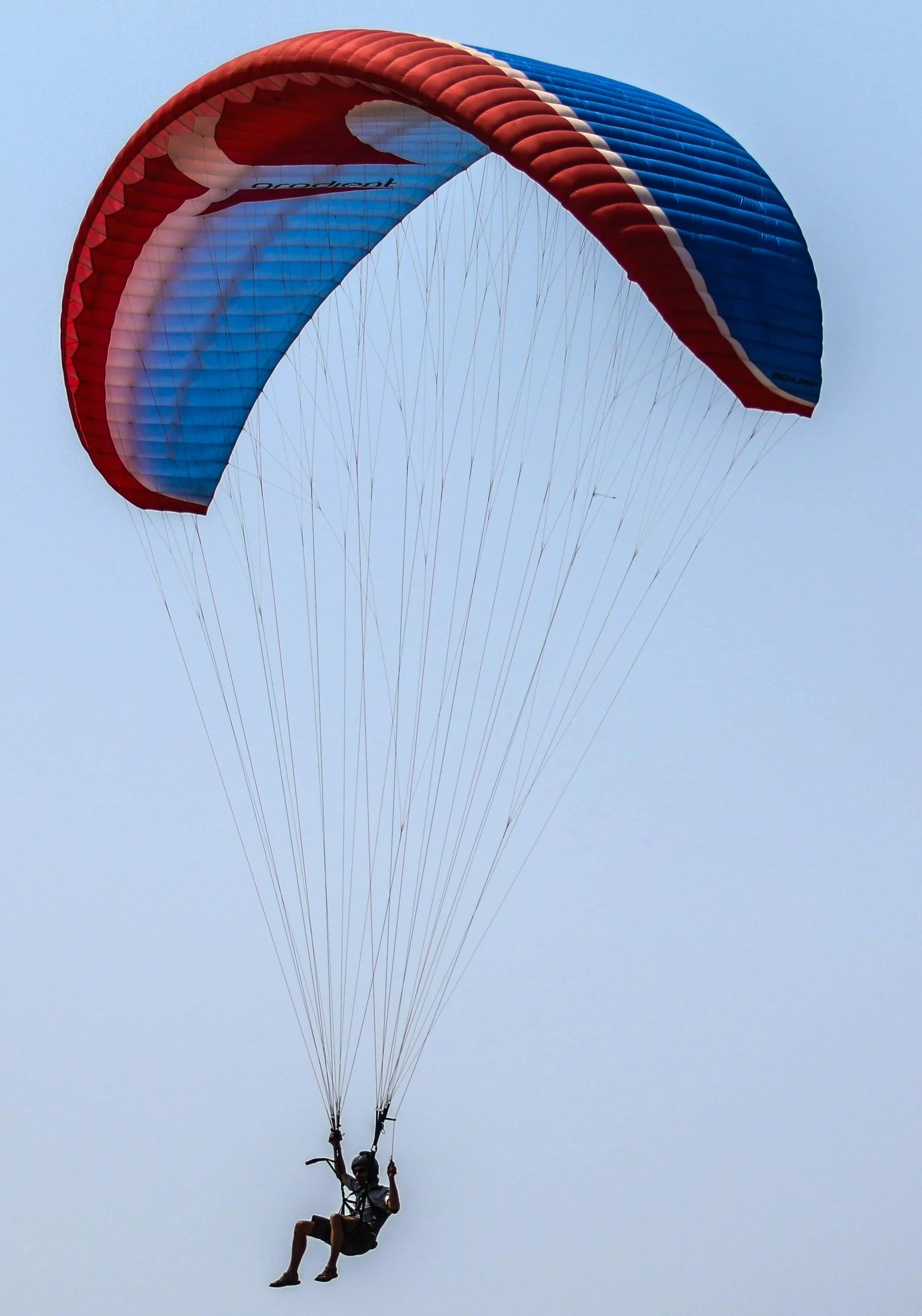 a person that is in the air with a parachute, by David Simpson, hurufiyya, blue and red two - tone, octane fender, canopy, seen from a distance