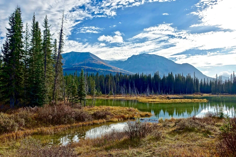 a body of water surrounded by trees and grass, by Arnie Swekel, pexels contest winner, rocky mountains in background, ponds, spiderweb landscape, spruce trees