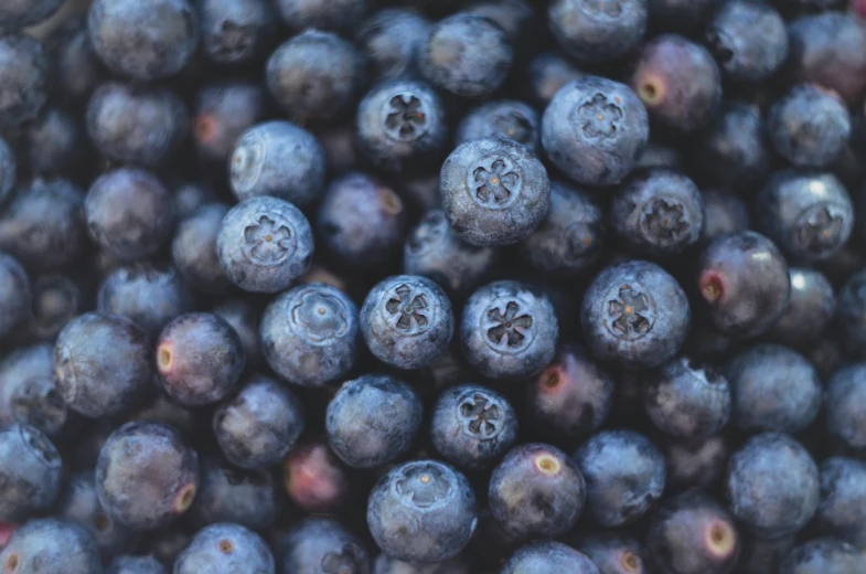 a close up of a bunch of blueberries, a portrait, pexels, background image, instagram post, 2000s photo