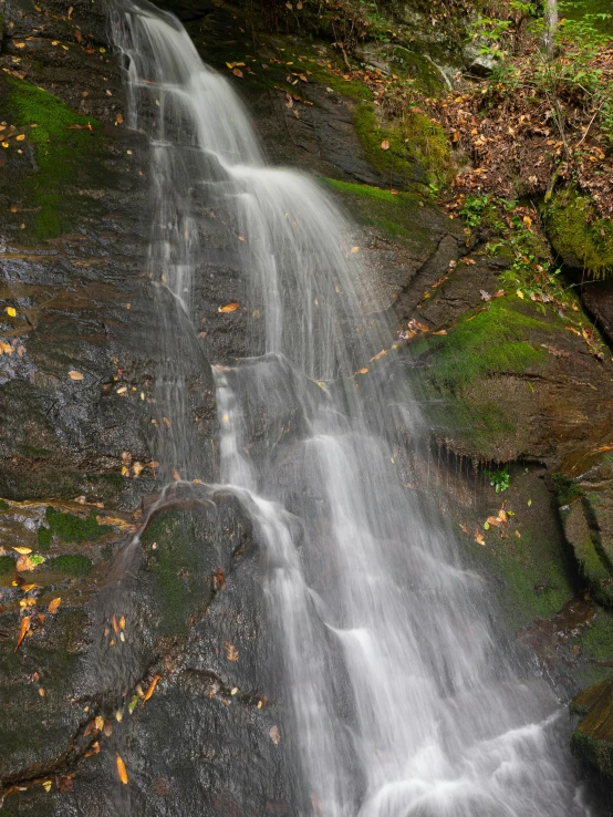 a waterfall in the middle of a forest, up close image, william penn state forest, today\'s featured photograph 4k, high - angle view