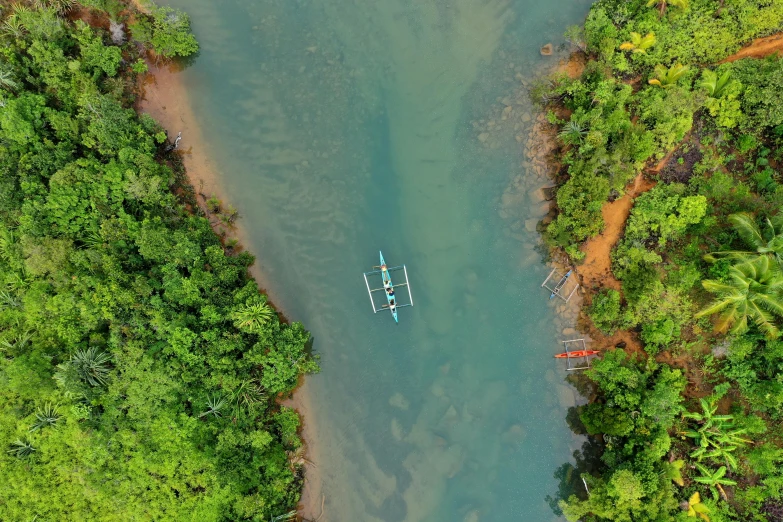 a couple of boats floating on top of a river, by Jessie Algie, pexels contest winner, hurufiyya, flying above a tropical forest, aerial iridecent veins, thumbnail, 8 k 4 k