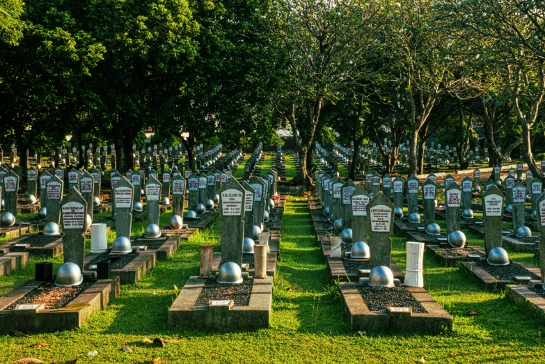 a cemetery filled with lots of tombstones and trees, by Daniel Lieske, flickr, hurufiyya, sri lanka, instagram post, commercially ready, gardening