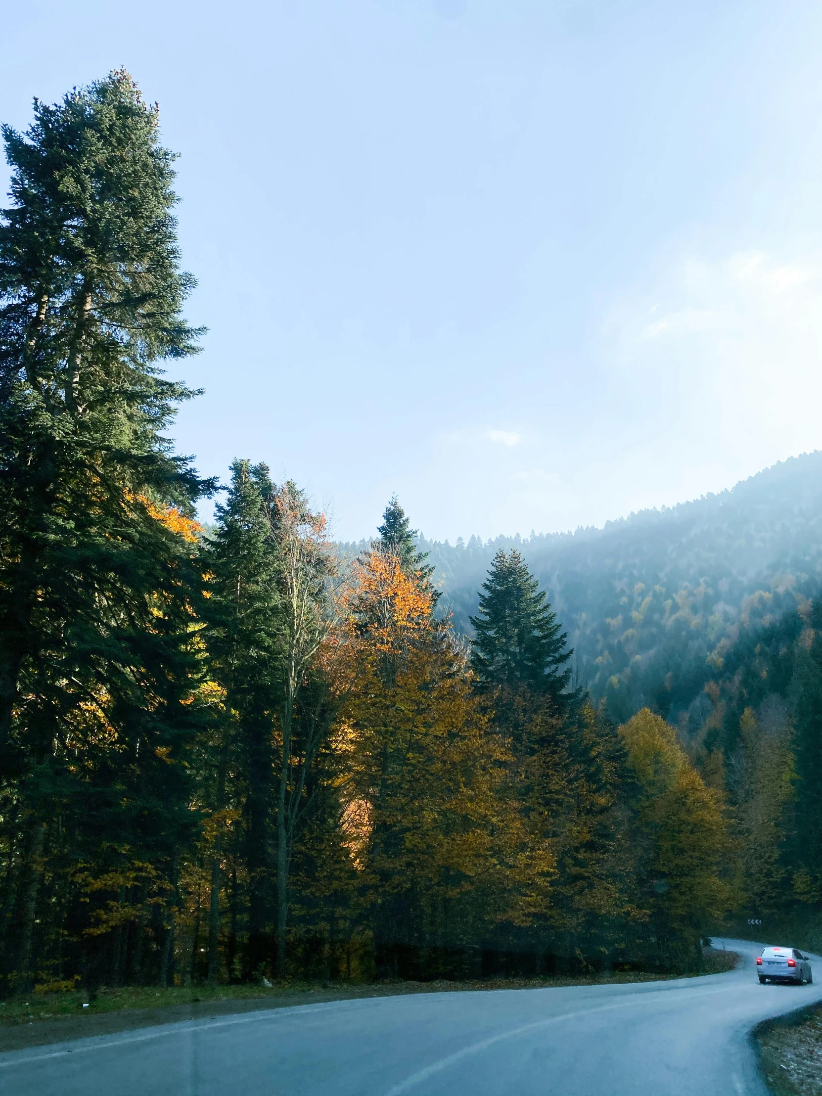 a car that is sitting on the side of a road, a picture, inspired by Elsa Bleda, les nabis, autumn mountains, black fir, today\'s featured photograph 4k, ((forest))