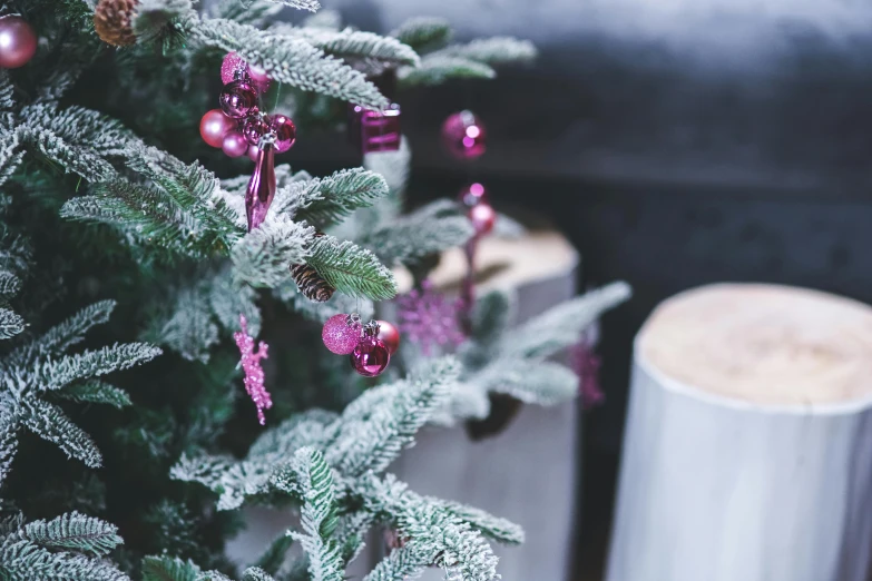 a coffee cup sitting on top of a table next to a christmas tree, pexels, magenta and gray, detail shot, frost, glazed