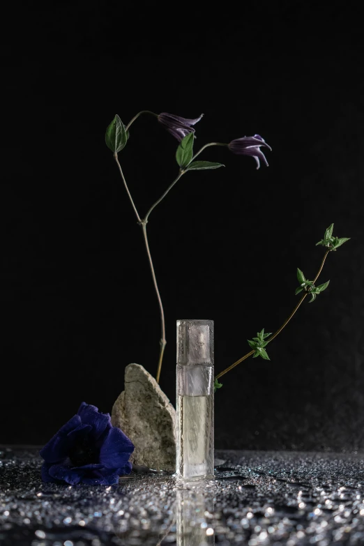 a vase sitting on top of a table next to a flower, a still life, inspired by Yves Klein, stone and glass, with black vines, award-winning photograph, deconstructed