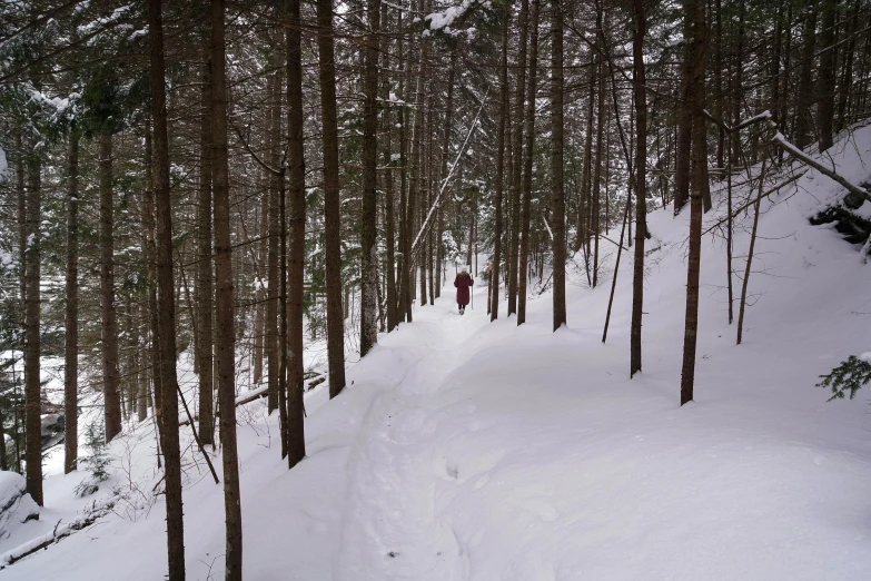 a man riding skis down a snow covered slope, by Pamela Drew, flickr, on forest jungle path, hanging trees, cornell, obscured hooded person walking