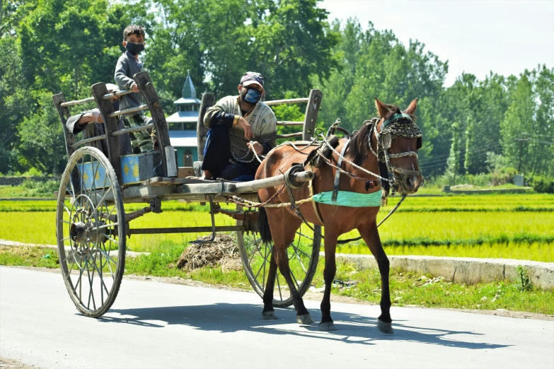 two men are riding in a horse drawn carriage, a picture, flickr, hurufiyya, 2022 photograph, square, assam tea village background, sunny summer day