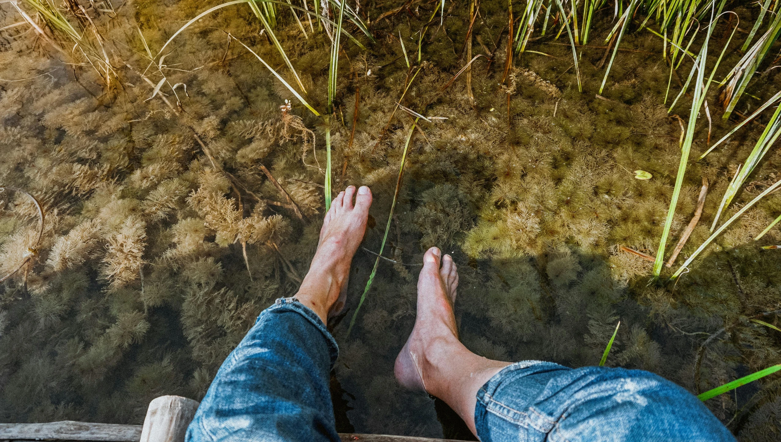 a person standing next to a body of water, algae feet, sitting down casually, permaculture, holiday season