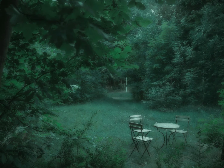 a couple of chairs sitting on top of a lush green field, an album cover, inspired by Elsa Bleda, pexels contest winner, tonalism, night forest, cafe tables, discovered in a secret garden, anna nikonova