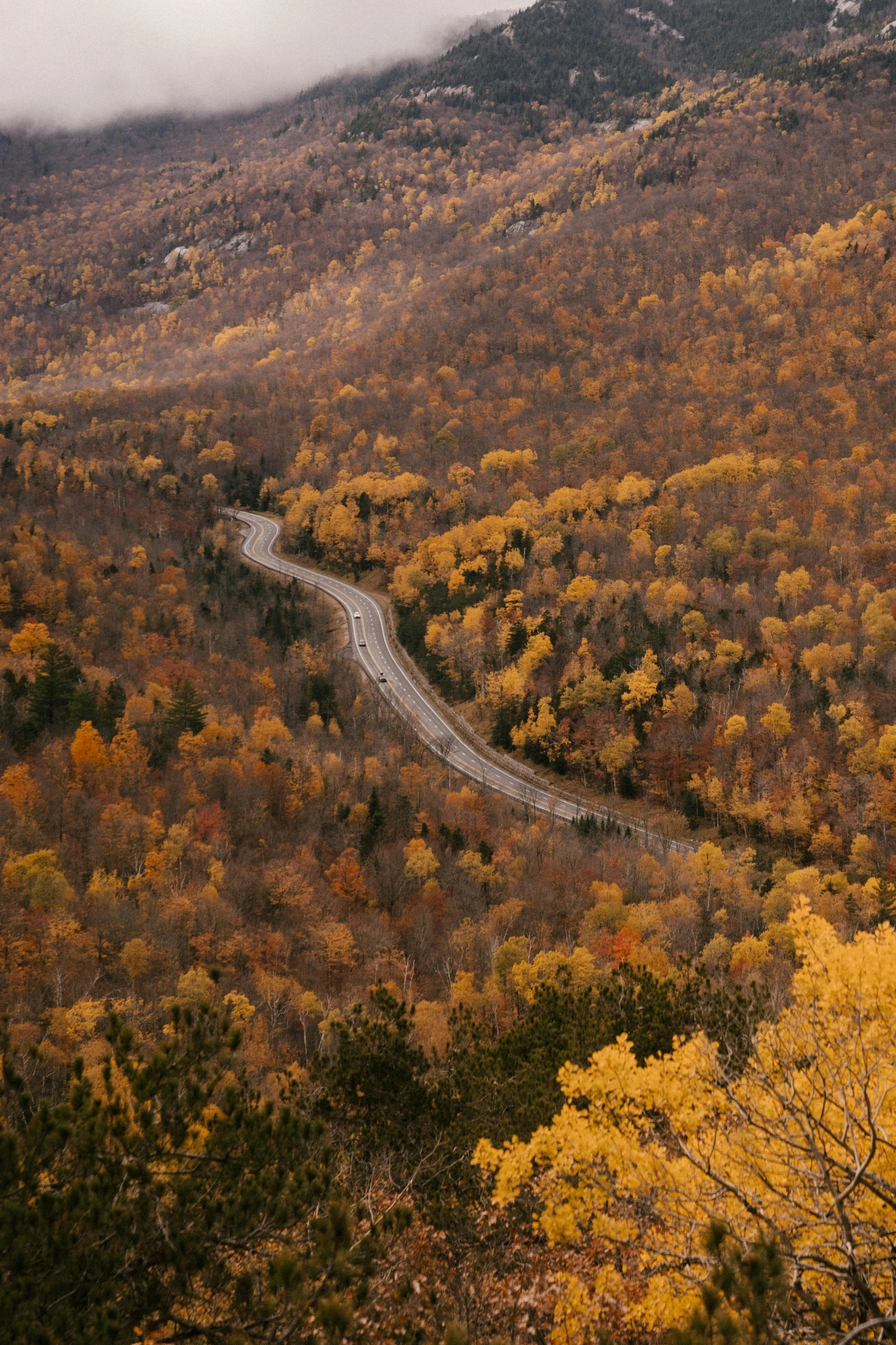 an aerial view of a winding road in the mountains, by Jessie Algie, autumn overgrowth, square, null, photograph