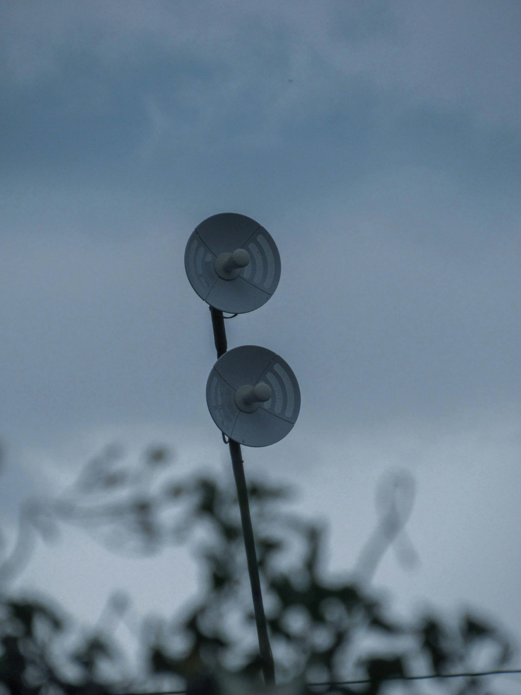 a close up of a street light with trees in the background, an album cover, inspired by Bruce Munro, unsplash, kinetic art, two small horn on the head, grey sky, satellite dishes, photo taken with sony a7r