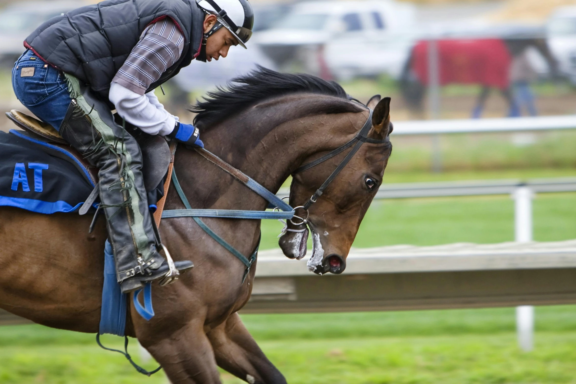 a man riding on the back of a brown horse, pexels contest winner, on a racetrack, wellington, thumbnail, profile image