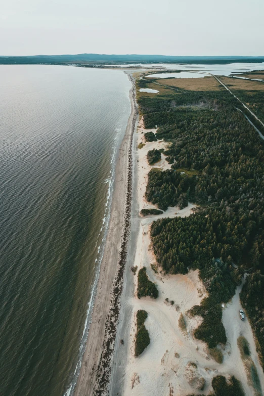 a large body of water next to a sandy beach, by Jakob Emanuel Handmann, unsplash contest winner, land art, wide high angle view, savannah, coastline, calmly conversing 8k