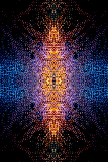 a blue and orange pattern on a black background, a digital rendering, by Daniel Chodowiecki, symmetry!! water, neural pointillism, orange and purple electricity, philip taaffe