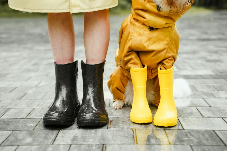 a person standing next to a dog wearing rain boots, pexels, yellow clothes, thumbnail, they are close to each other, rectangle