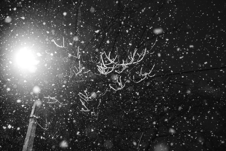 a black and white photo of a street light in the snow, a black and white photo, pexels, conceptual art, glittering stars scattered about, reindeer made out of shadows, background image, branches