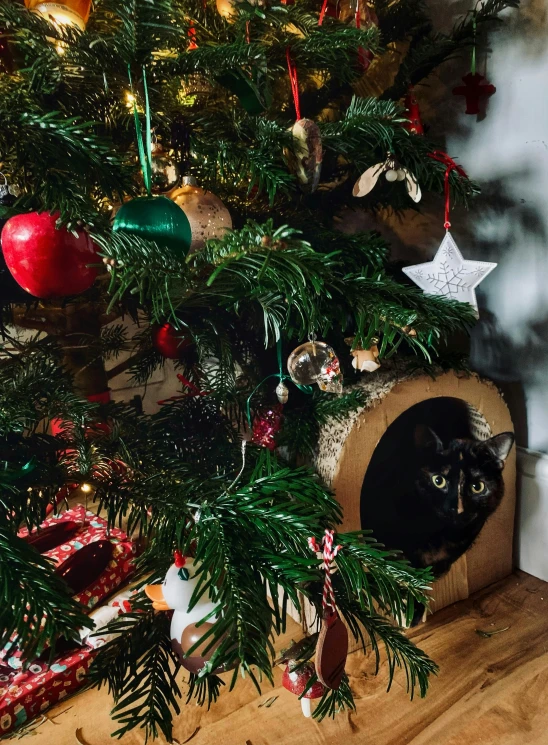 a black cat sitting under a christmas tree, by Julia Pishtar, happening, cardboard tunnels, wooden decoration, close up photograph, on