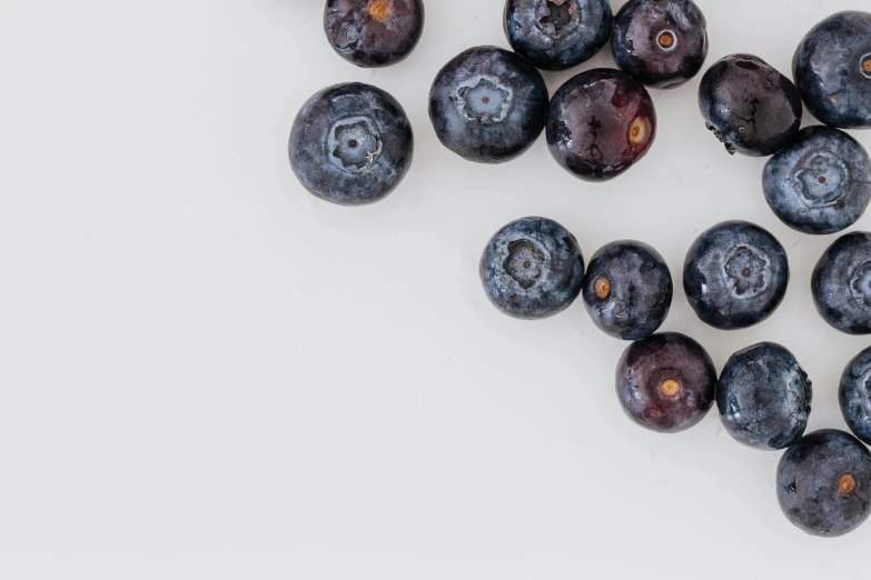 a pile of blueberries on a white surface, by Emma Andijewska, trending on unsplash, 🦩🪐🐞👩🏻🦳, profile image, background image, detailed product photo