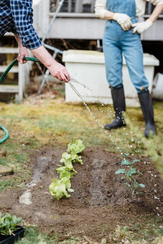 a couple of men that are standing in the grass, watering can, lettuce, standing water, lynn skordal