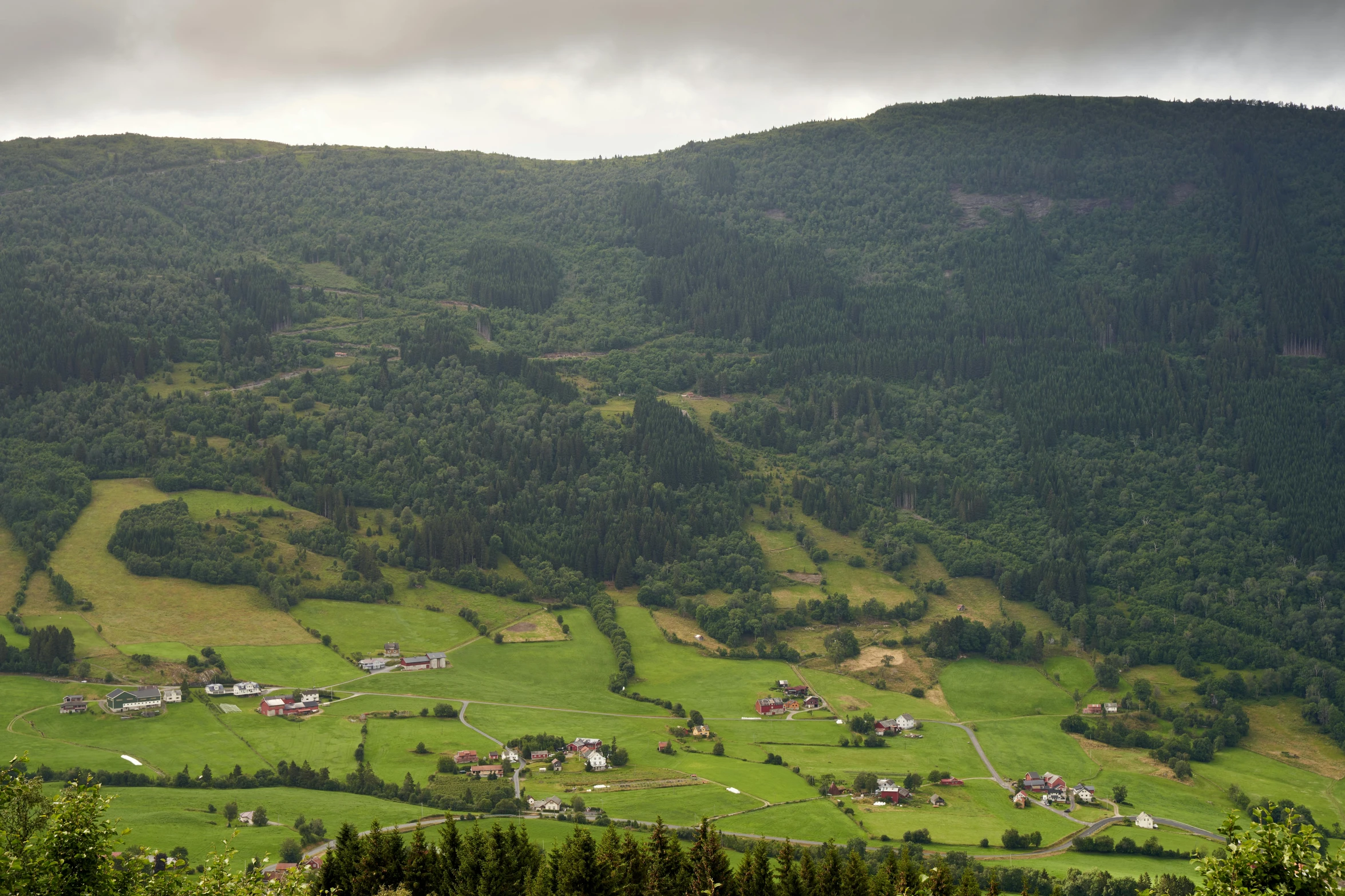 a couple of sheep standing on top of a lush green hillside, by Roar Kjernstad, pexels contest winner, hurufiyya, view of villages, coniferous forest, panoramic, high quality image”