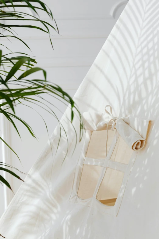 a hammock hanging on a wall next to a potted plant, inspired by Eden Box, shadow play, soft studio lighting, white with gold accents, detailed product image