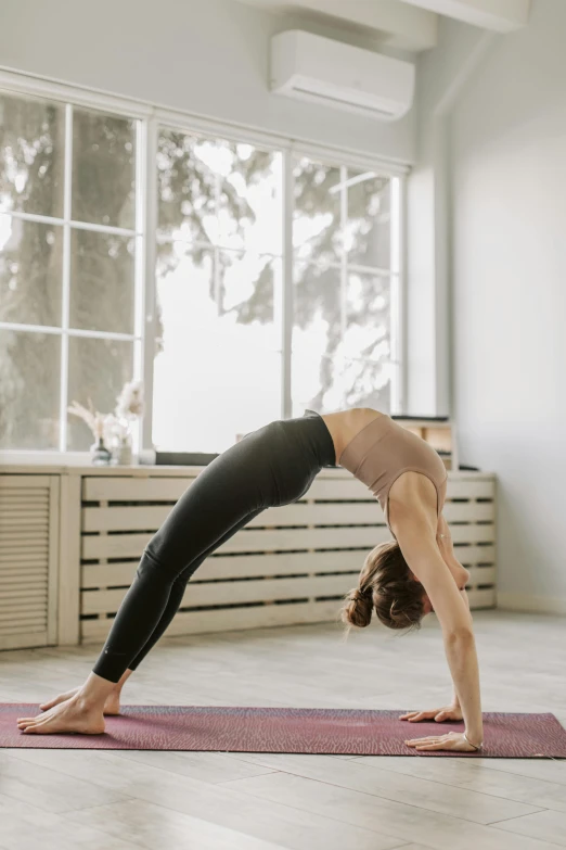 a woman doing a yoga pose in front of a window, arched ceiling, bent over posture, crawling, fast paced