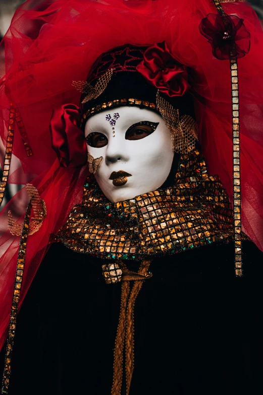 a close up of a person wearing a mask, inspired by Hedi Xandt, pexels contest winner, gothic art, red gold and black outfit, the empress’ hanging, taken in the mid 2000s, slide show