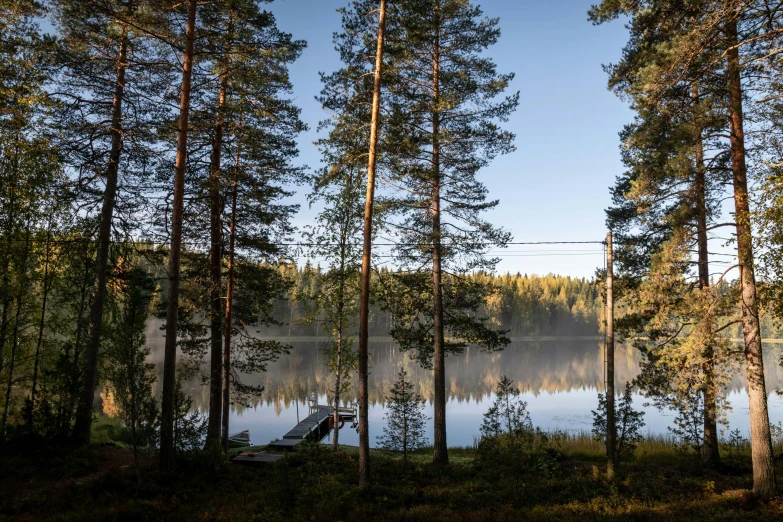 a forest filled with lots of trees next to a lake, inspired by Eero Järnefelt, unsplash, hurufiyya, sauna, seen from outside, fishing, late afternoon sun