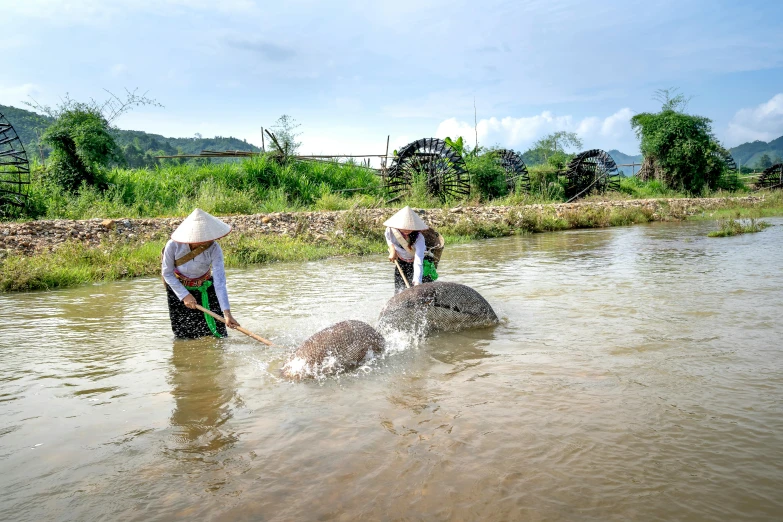 a couple of people that are standing in some water, bao phan, farming, profile image, sweeping landscape