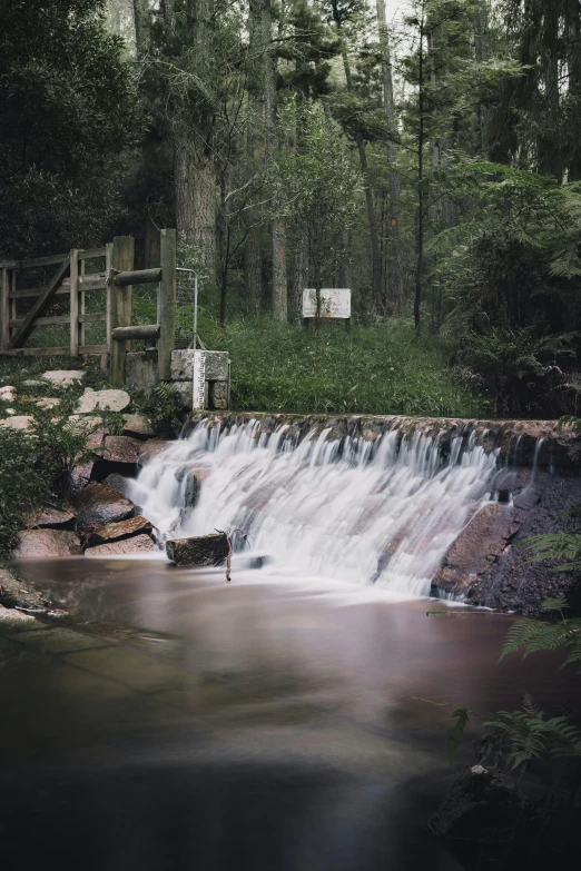 a small waterfall in the middle of a forest, water flowing through the sewer, with trees and waterfalls