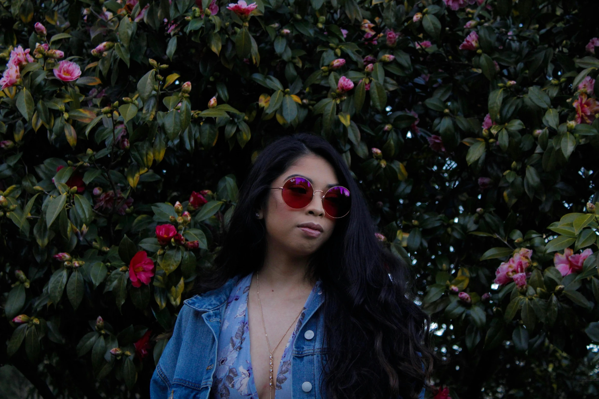 a woman standing in front of a bush with flowers, an album cover, pexels contest winner, red sunglasses, cindy avelino, wearing a jeans jackets, profile image