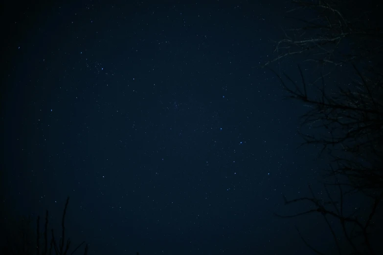 a night sky with stars and trees in the foreground, a picture, desaturated blue, low quality photo, star(sky) starry_sky, zoomed out shot