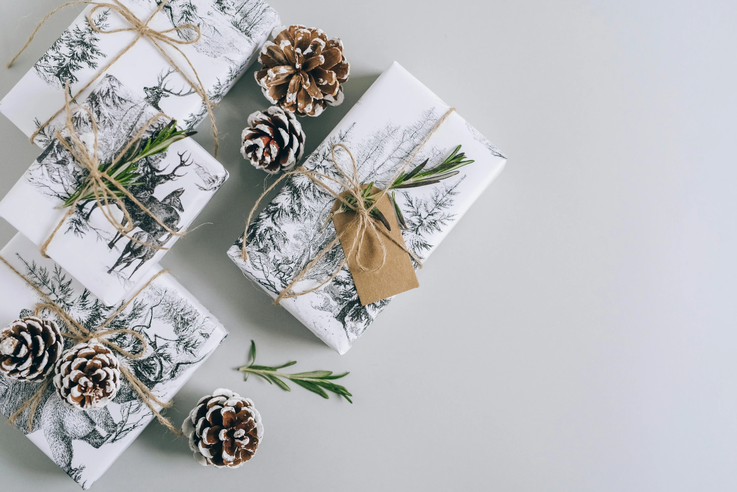 presents wrapped in white paper with pine cones and twine, by Sylvia Wishart, pexels contest winner, realism, white and grey, packaging design, gif, very ornamented