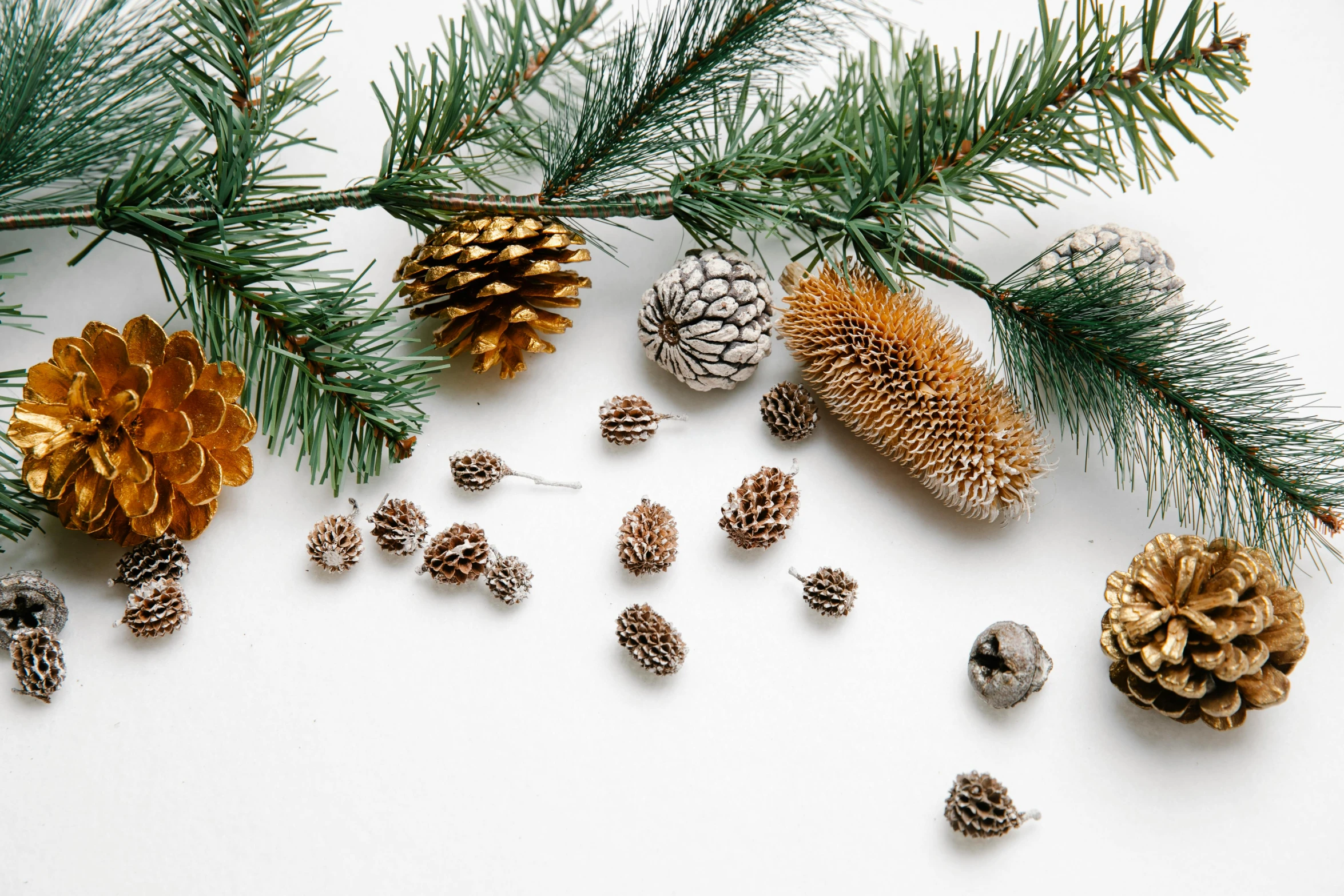 pine cones and pine branches on a white surface, trending on pexels, fireworks, diverse species, silver with gold trim, 🦩🪐🐞👩🏻🦳