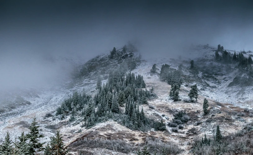 a mountain covered in snow with trees in the foreground, by Adam Szentpétery, unsplash contest winner, romanticism, under a gray foggy sky, intense dramatic hdr, pacific northwest, panorama