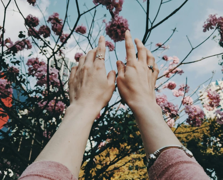 a person standing in front of a tree with pink flowers, trending on pexels, hands with five fingers, laying down with wrists together, view from below, childhood friend vibes