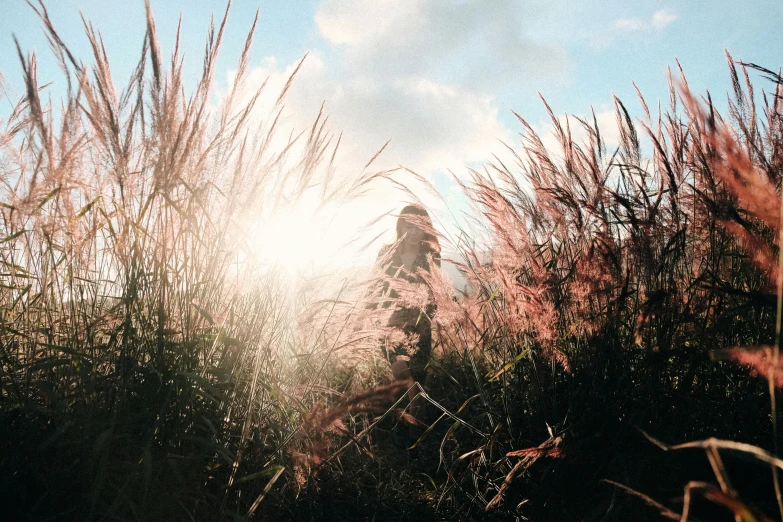 a person standing in a field of tall grass, unsplash contest winner, visual art, pink sunlight, instagram photo, harsh sunlight, low angle photograph