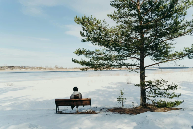 a person sitting on a bench in the snow, a picture, by Jaakko Mattila, unsplash contest winner, hurufiyya, lake in the distance, ai weiwei and gregory crewdson, sydney park, in a sunny day