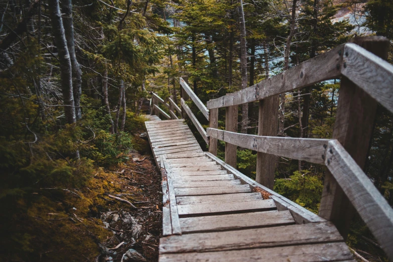 a wooden walkway in the middle of a forest, unsplash, new hampshire mountain, struggling, instagram photo, thumbnail